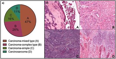 18F-FDG—PET/CT in Canine Mammary Gland Tumors